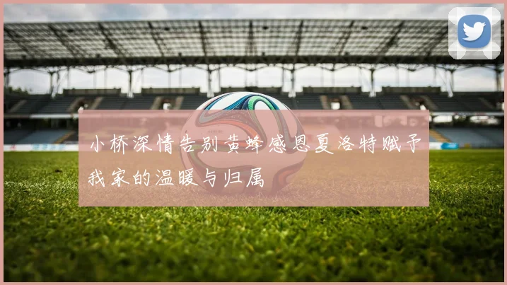 小桥深情告别黄蜂感恩夏洛特赋予我家的温暖与归属